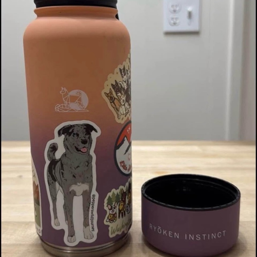 Ryoken Instinct stainless steel water bottle